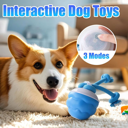 Smart Interactive Rolling Ball for Dogs