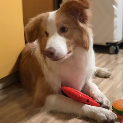 Durable Squeaky Foraging Disc Dog Toy