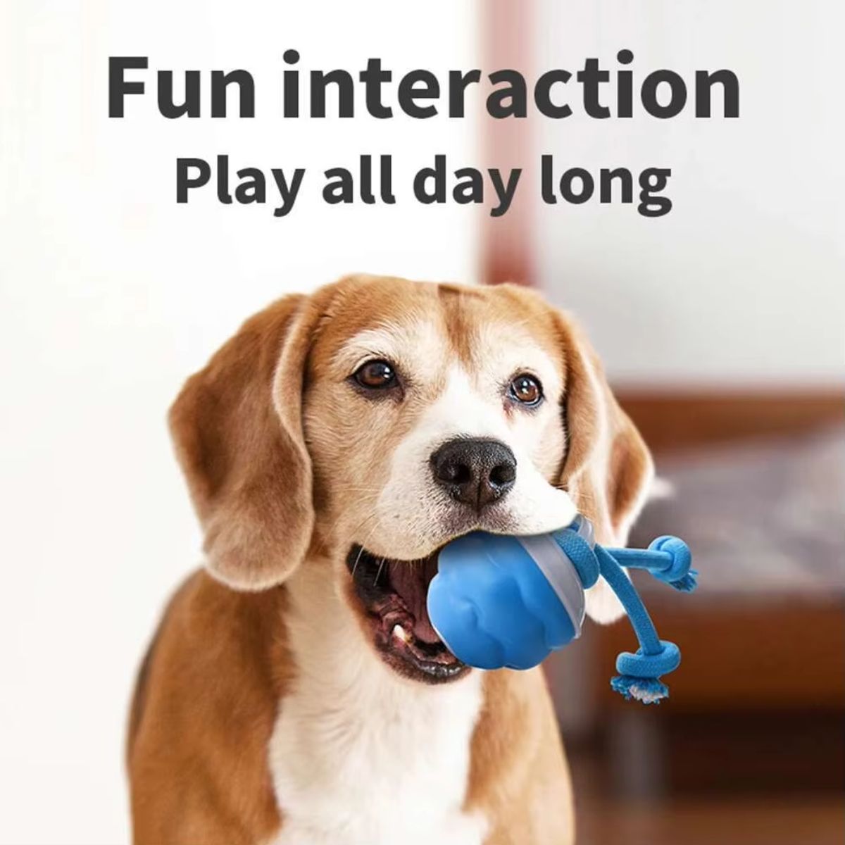 Smart Interactive Rolling Ball for Dogs